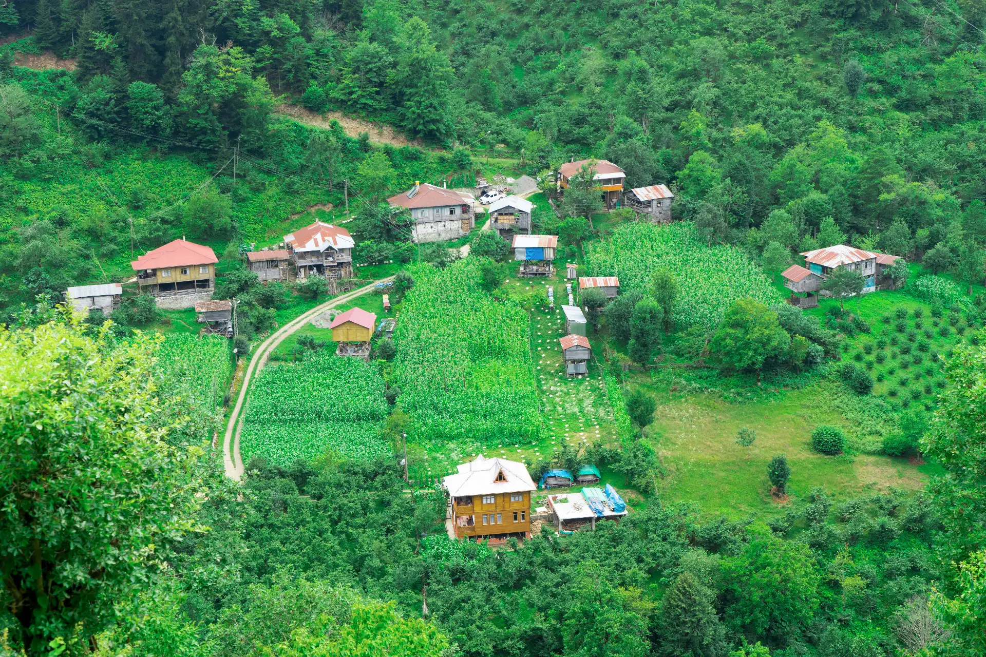 Artvin Tur Rehberi – Karadeniz’in Yeşil Kalbi