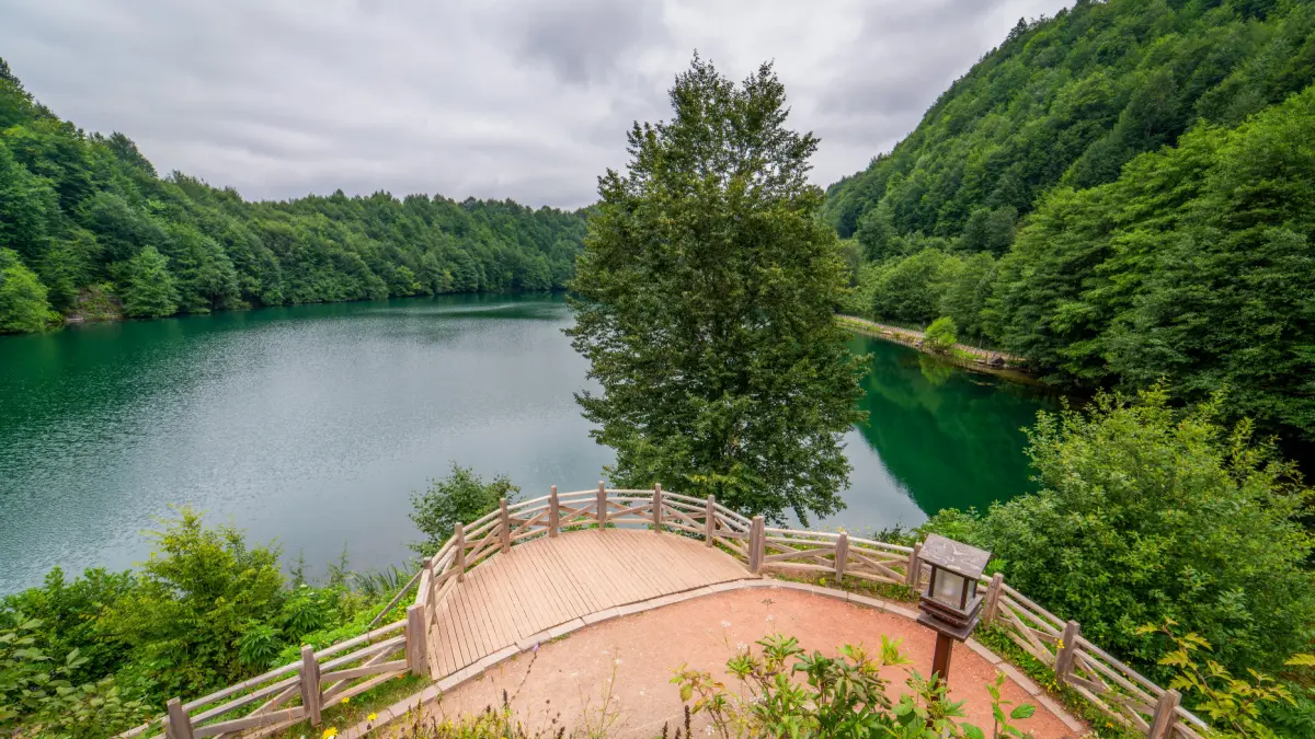 Ordu Tur Rehberi – Oksijen Yurdu