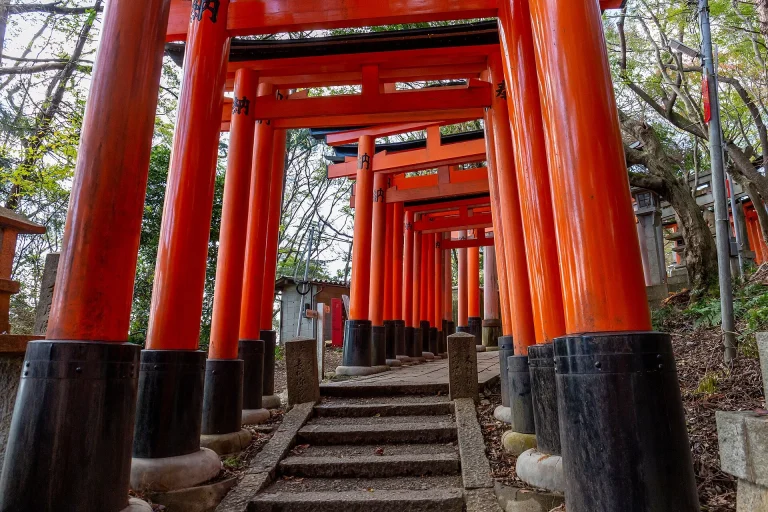 Kyoto Fushimi Inari tapınağındaki torii kapıları